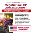 Grapeseed extract graphic highlighting MegaNatural-BP for over 2x blood pressure support using California grapes.