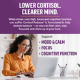 Woman working at laptop with Cortisol Reducer benefits for mood, focus, and cognitive function