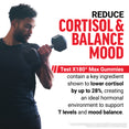 Man curling a dumbbell with Test X180 Max Gummies claim to lower cortisol by up to 28%