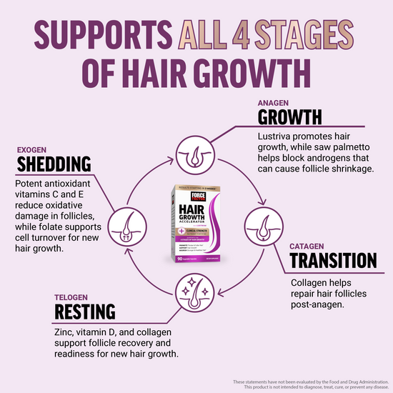 Infographic of 4 hair growth stages—shedding, growth, transition, and resting—supported by vitamins, collagen, and Lustiva.