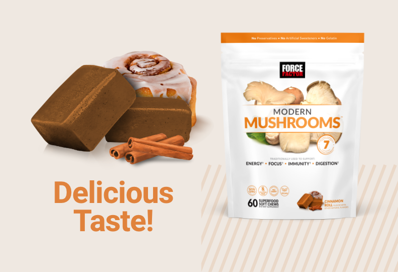 Modern Mushrooms. Delicious Taste!