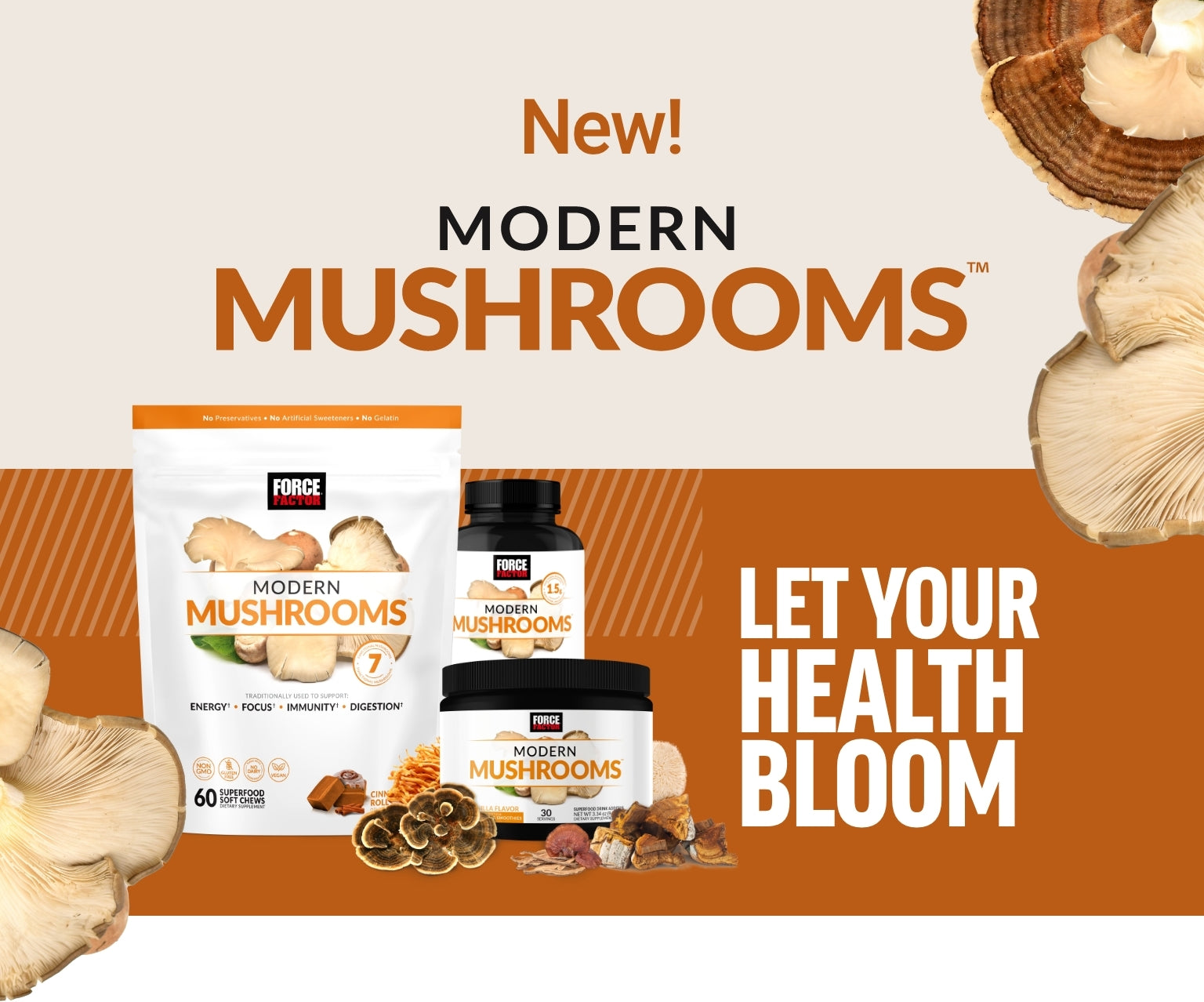 New! Modern Mushrooms. Let Your Health Bloom