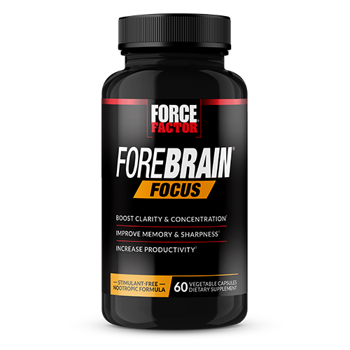 Forebrain Focus