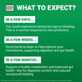 Timeline of expected probiotic benefits, from temporary gas to improved digestion and balanced gut health over time.