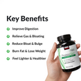 KEY BENEFITS  Improve Digestion Relieve Gas & Bloating Reduce Bloat & Bulge Burn Fat & Lose Weight Feel Lighter & Healthier
