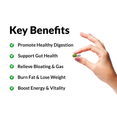 KEY BENEFITS  Promote Healthy Digestion Support Gut Health Relieve Bloating & Gas Burn Fat & Lose Weight Boost Energy & Vitality