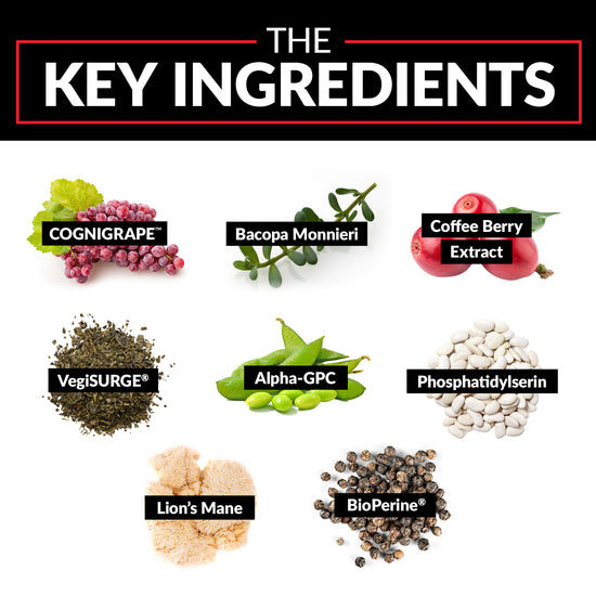 The Key Ingredients COGNIGRAPE™ Bacopa monnieri Coffee Berry Extract VegiSURGE® Alpha-GPC Phosphatidylserine Lion’s Mane BioPerine®