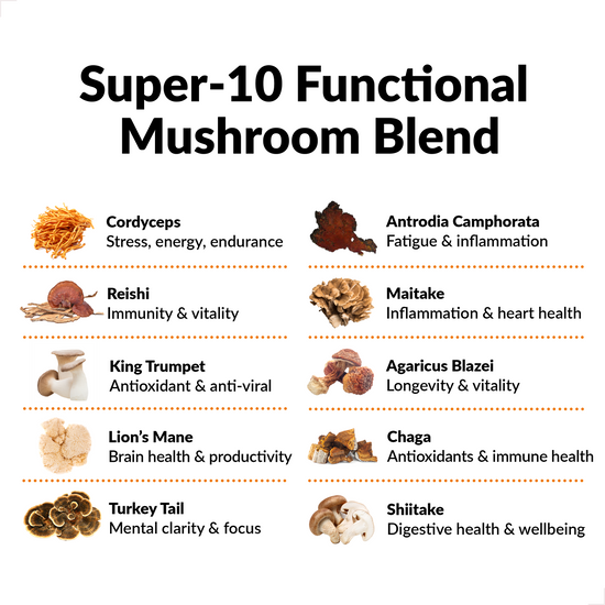 Super-10 Functional Mushroom Blend ingredients and benefits, including Cordyceps, Reishi, and Lion's Mane.