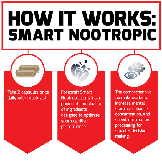 How It Works: Forebrain Smart Nootropic Take 2 capsules once daily with breakfast. Forebrain Smart Nootropic contains a powerful combination of ingredients designed to optimize your cognitive performance. The comprehensive formula works to increase mental stamina, enhance concentration, and speed information processing for smarter decision making.