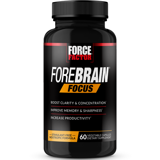 Forebrain Focus