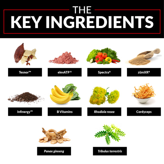 The Key Ingredients: Tesnor™, elevATP®, Spectra®, zümXR®, Infinergy™, B Vitamins, Rhodiola rosea, Cordyceps, Panax ginseng, Tribulus terrestris