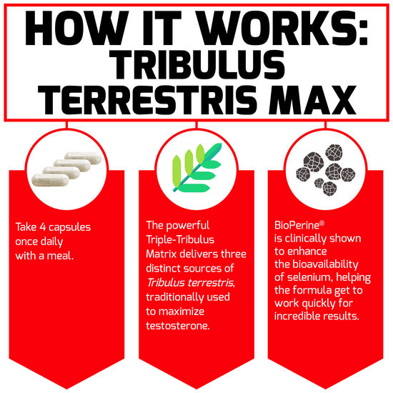 How It Works: Tribulus Terrestris Max Take 4 capsules once daily with a meal. The powerful Triple-Tribulus Matrix delivers three distinct sources of Tribulus terrestris, traditionally used to maximize testosterone. BioPerine® is clinically shown to enhance the bioavailability of selenium, helping the formula get to work quickly for mind-blowing results.