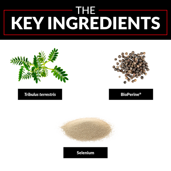 The Key Ingredients: Tribulus terrestris, BioPerine®, Selenium