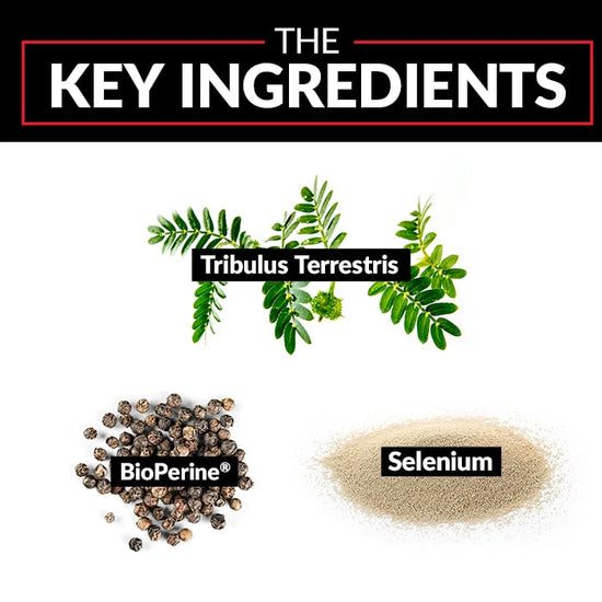 The Key Ingredients: Tribulus Terrestris. BioPerine®. Selenium.