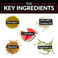 The Key Ingredients: Nitrosigine®, CON-CRĒT® Creatine HCI, L-Citrulline, AlphaSize®, Huperzine A.