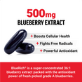 Benefits of Blueberry Concentrate Supplement by Force Factor