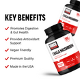 Force Factor Chaga Mushroom 500mg bottle with key benefits promoting digestion, gut health, antioxidant support, vegan friendly, and made in the USA