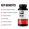 Benefits of Shilajit Supplements by Force Factor