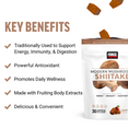 Benefits of Shiitake and Shiitake Supplements by Force Factor