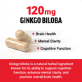 Benefits of Ginkgo Biloba Supplements by Force Factor