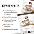 Benefits of Chaga and Modern Mushrooms Chaga Soft Chew Supplements by Force Factor