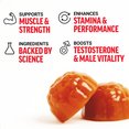 Benefits of Test X180 Gummies Testosterone Boosting Supplements by Force Factor