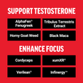 Supplements for testosterone support and focus enhancement, including AlphaFen®, Tribulus Terrestris, and Verilean®.