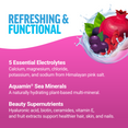 Key Ingredients of Liquid Labs Beauty Hydration Drink Mix Stick Packs by Force Factor
