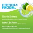 Key Ingredients of Liquid Labs Hydration Drink Mix Stick Packs by Force Factor