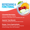 Key Ingredients of Liquid Labs Energy Hydration Drink Mix Stick Packs by Force Factor