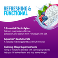 Key Ingredients of Liquid Labs Sleep Hydration Drink Mix Stick Packs by Force Factor