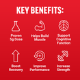 Key benefits of supplements: proven 5g dose, muscle support, cognitive function, boost recovery, improve performance, increase strength.