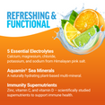 Key Ingredients of Liquid Labs Immunity Hydration Drink Mix Stick Packs by Force Factor