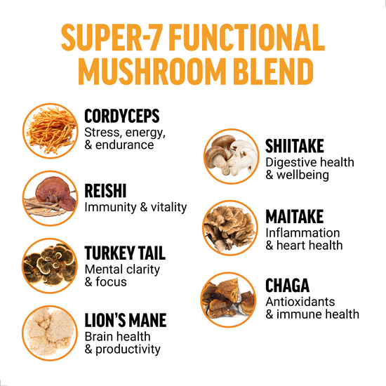 Modern Mushrooms Unflavored Powder - Force Factor