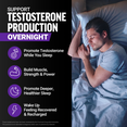 Man sleeping with icons showing supplement supports testosterone production, muscle strength, deeper sleep, and overnight recovery