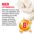 Key Ingredients of Niacin Vitamin B3 Supplements by Force Factor