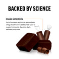  Ingredient Overview and Benefits of Force Factor Modern Mushrooms Chaga Soft Chew Supplement