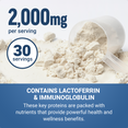 2000mg bovine colostrum powder with lactoferrin and immunoglobulin in a scoop, supporting immunity, gut health, and recovery.