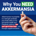 Hand holding a capsule explaining Akkermansia muciniphila is a next-gen probiotic for gut barrier health only available through supplementation
