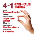 What’s Inside, Ingredients of Total Beets Beet Root Capsules Beets Supplement by Force Factor