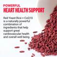 Key Ingredients of Red Yeast Rice + CoQ10 Supplements by Force Factor