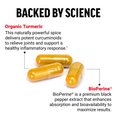 Key Ingredients of Turmeric Curcumin Supplements by Force Factor