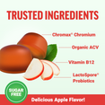 Close-up of apple-flavored gummies with labeled key ingredients, including Chromax chromium, organic ACV, probiotics, and vitamin B12.