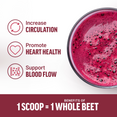 How to Use Force Factor Total Beets Organic Powder Supplement