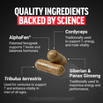 Capsules with ingredient callouts for AlphaFen, Tribulus terrestris, Cordyceps, and Ginseng supporting energy and vitality.