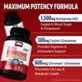 Ultra Berberine Ultimate Capsules