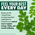 Fresh moringa leaves with text explaining moringa known as the miracle tree supports energy, vitality, and overall wellbeing
