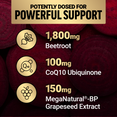 Supplement dosing graphic showing 1,800mg beetroot, 100mg CoQ10, and 150mg grapeseed extract.