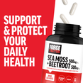Why You Should Take Irish Sea Moss and Beetroot, Benefits of Force Factor Irish Sea Moss + Beetroot Supplement