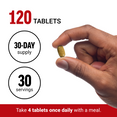 120 tablets for a 30-day supply; take 4 tablets daily with a meal for optimal health support.